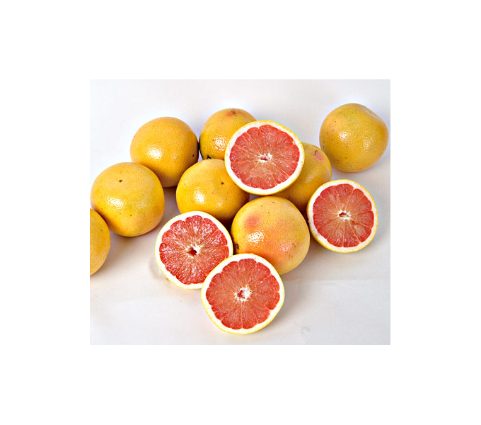 Ruby Red Grapefruit direct from Florida White Flower Farm