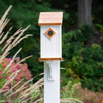  Copper Highlights Bluebird House