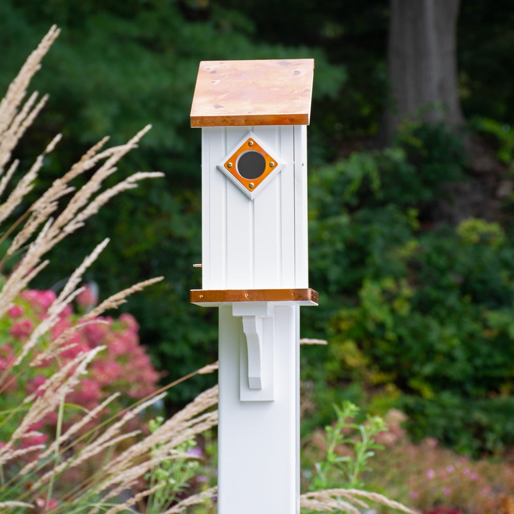 Copper Highlights Bluebird House