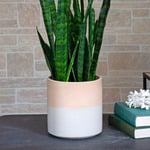 Houseplant Containers