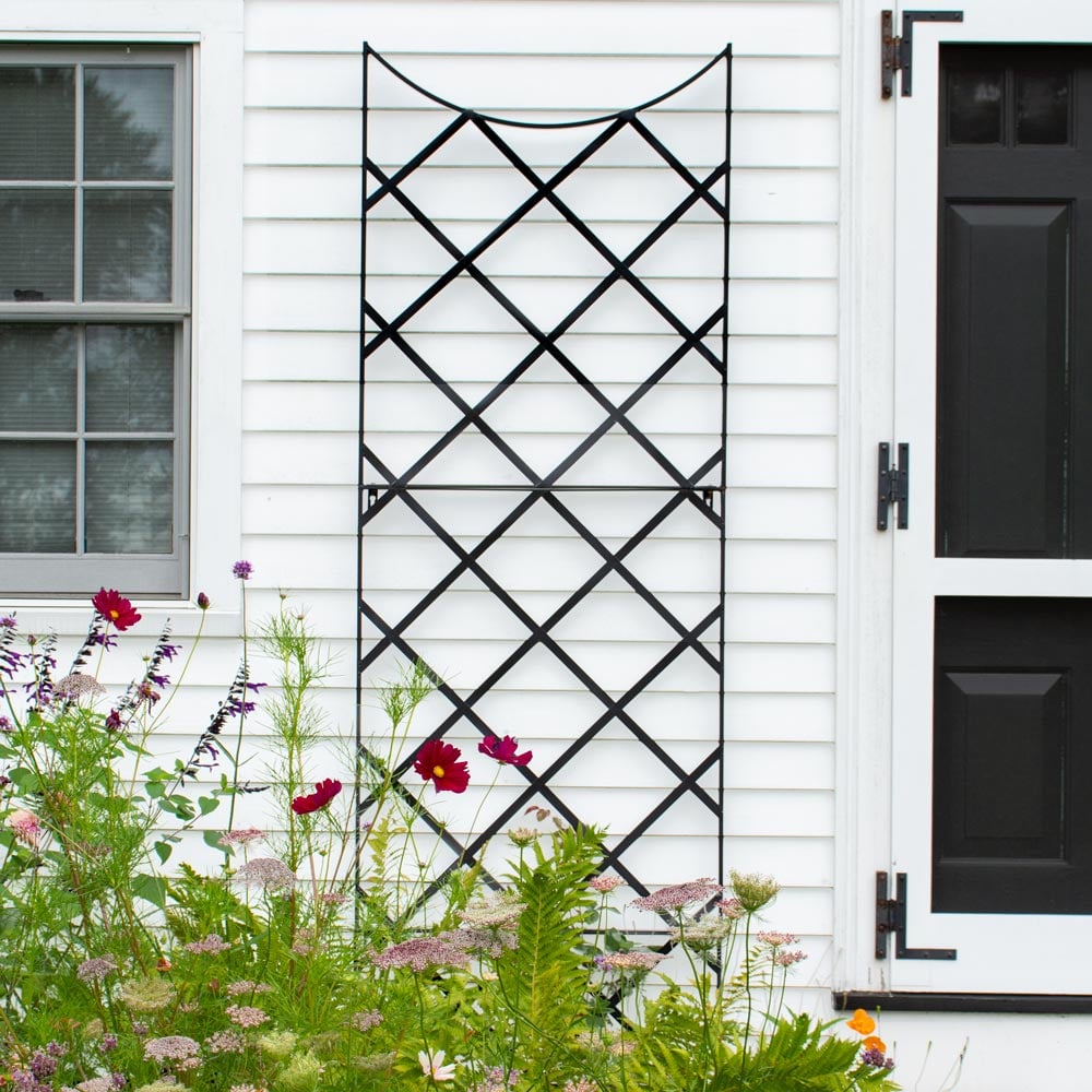 Large Rose Trellis