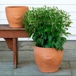  Uguisu Pots