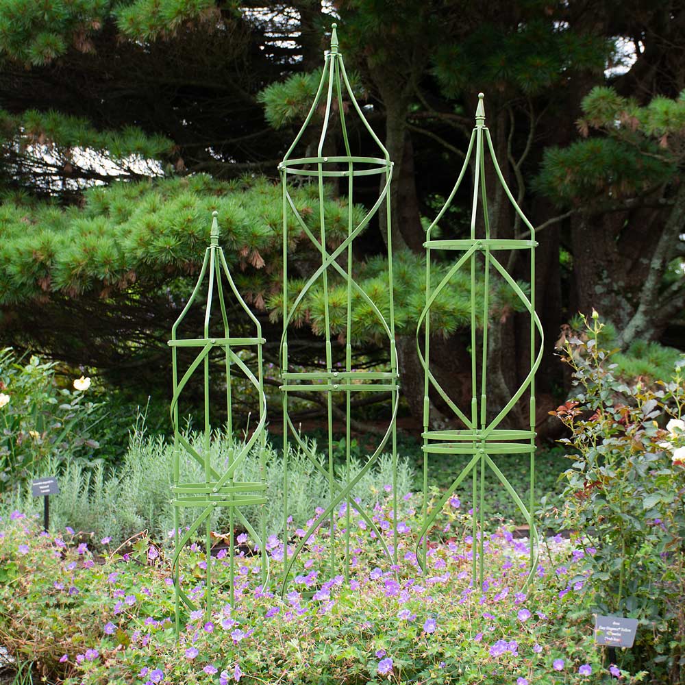 Chateau Tuteur, green