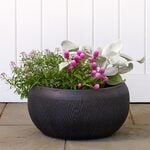  Kent Bowl, black