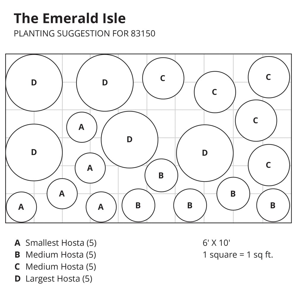 Emerald Isle Hosta Collection White Flower Farm