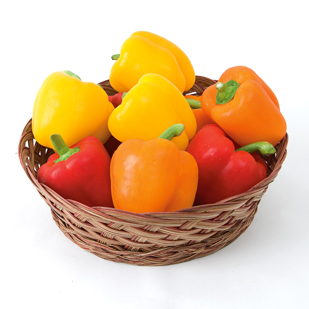 Sweet Pepper Rainbow Sampler 3 plants