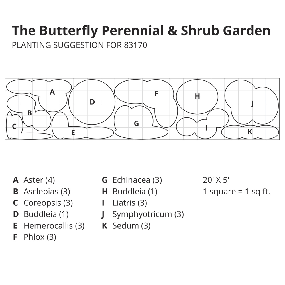 The Butterfly Perennial & Shrub Garden White Flower Farm