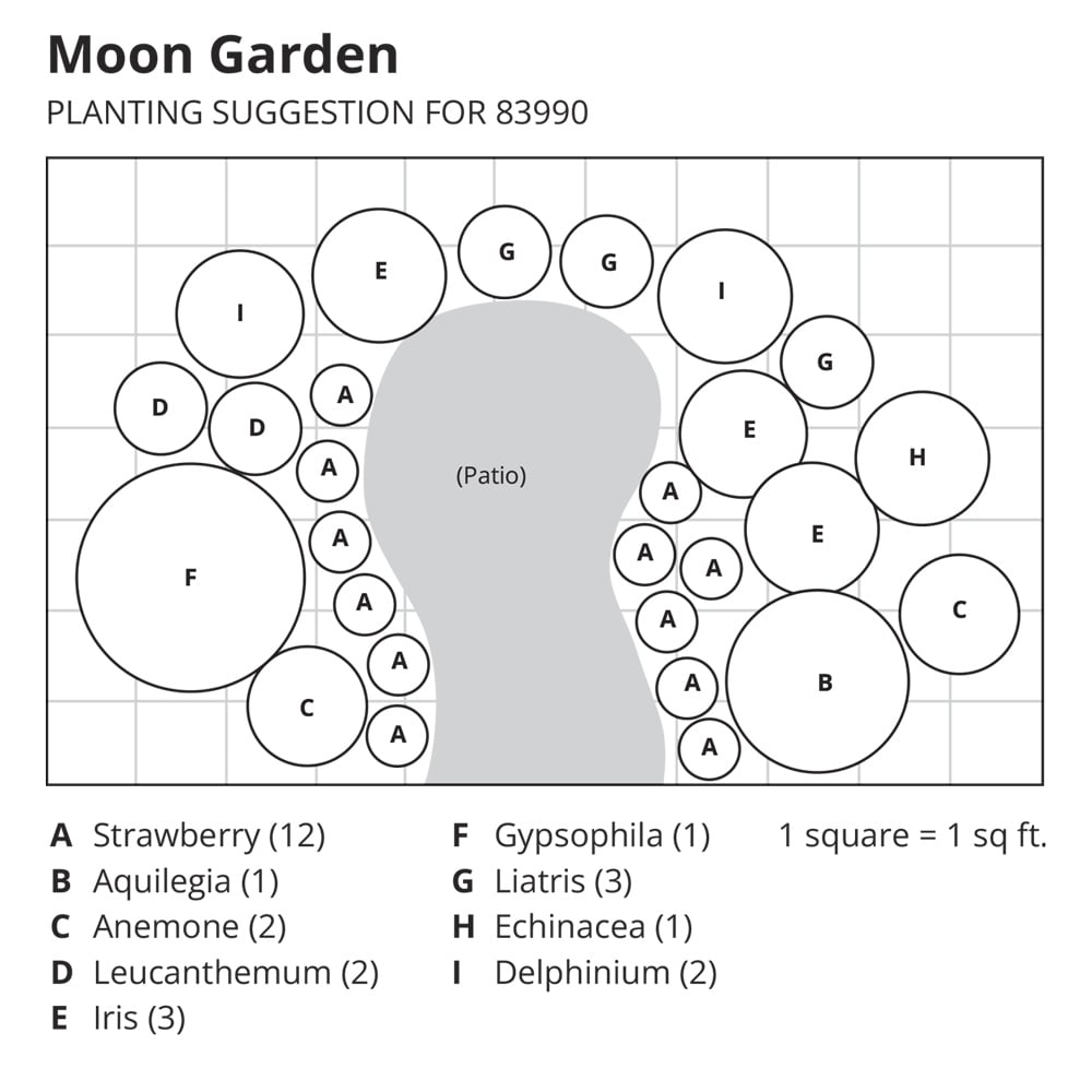 Moon Garden White Flower Farm