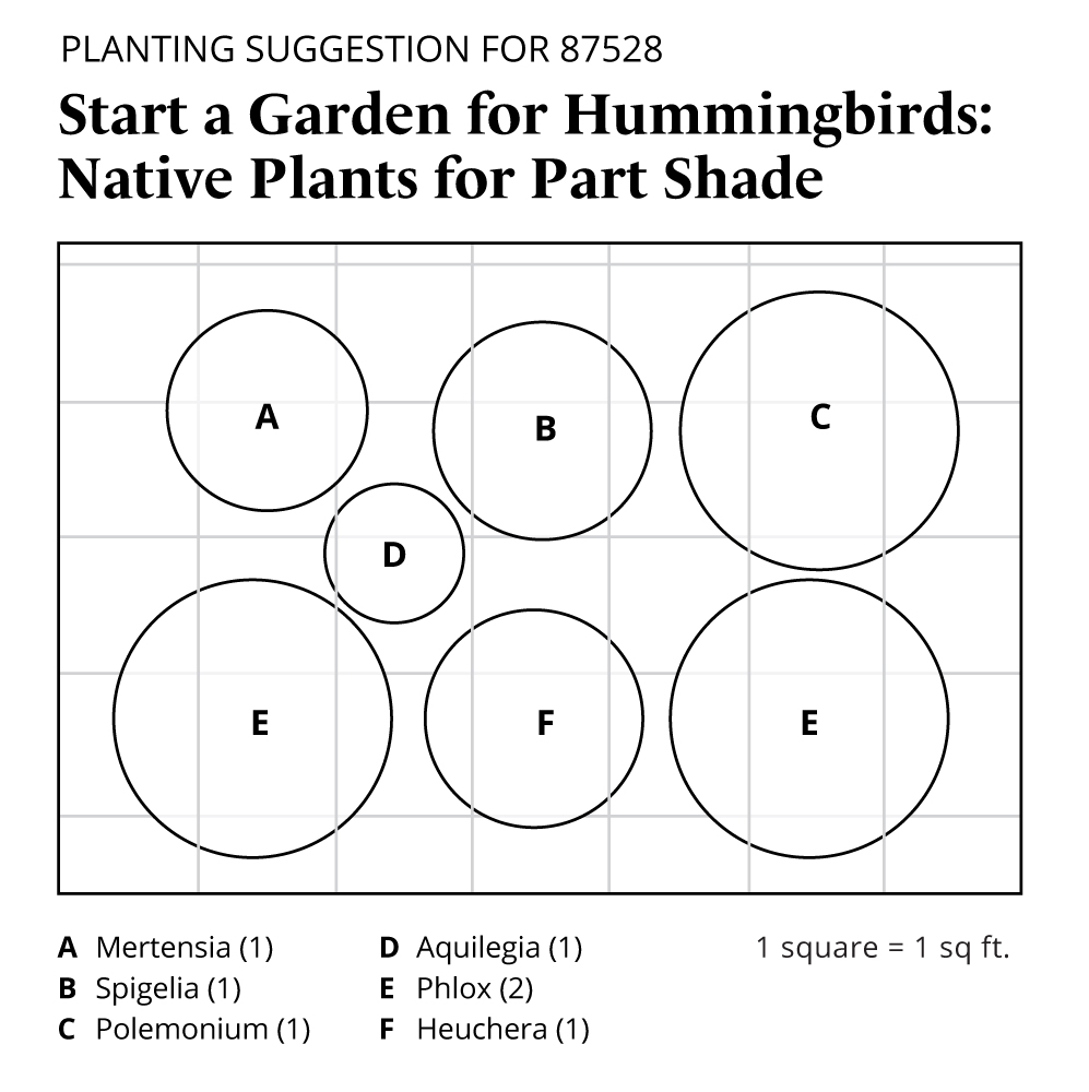 Start a Garden for Hummingbirds Native Plants for Part Shade White