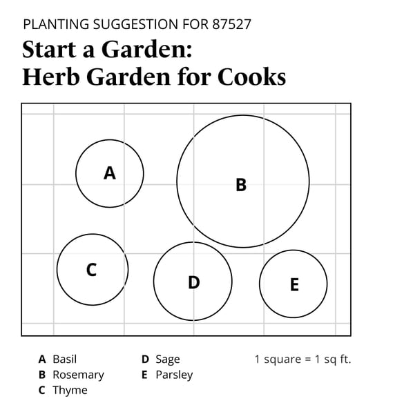 Start a Garden Herb Garden for Cooks White Flower Farm