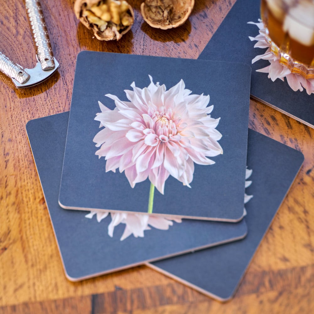 Dazzling Dahlias Coaster Quartet – Standard Shipping Included