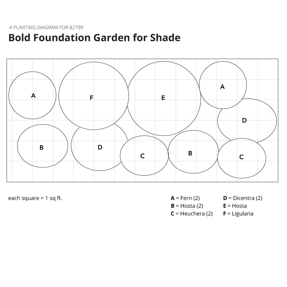 Bold Foundation Garden for Shade White Flower Farm