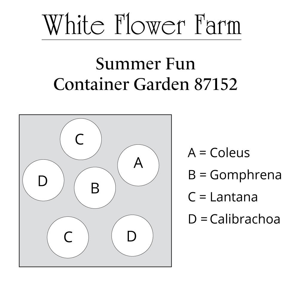 Promo Code For White Flower Farms at Frances Jackson blog
