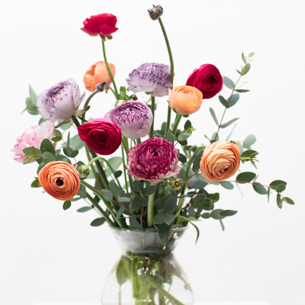 Designer's Ranunculus Bouquet