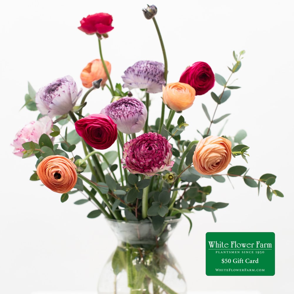 Designer's Ranunculus Bouquet