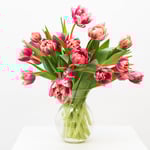  Pink Tulip Bouquet