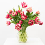  Pink Tulip Bouquet