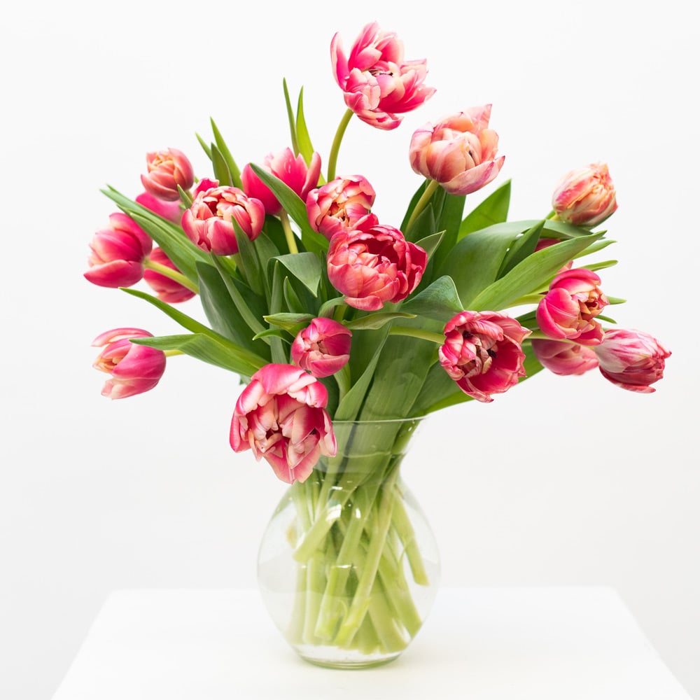 Pink Tulip Bouquet by Semia