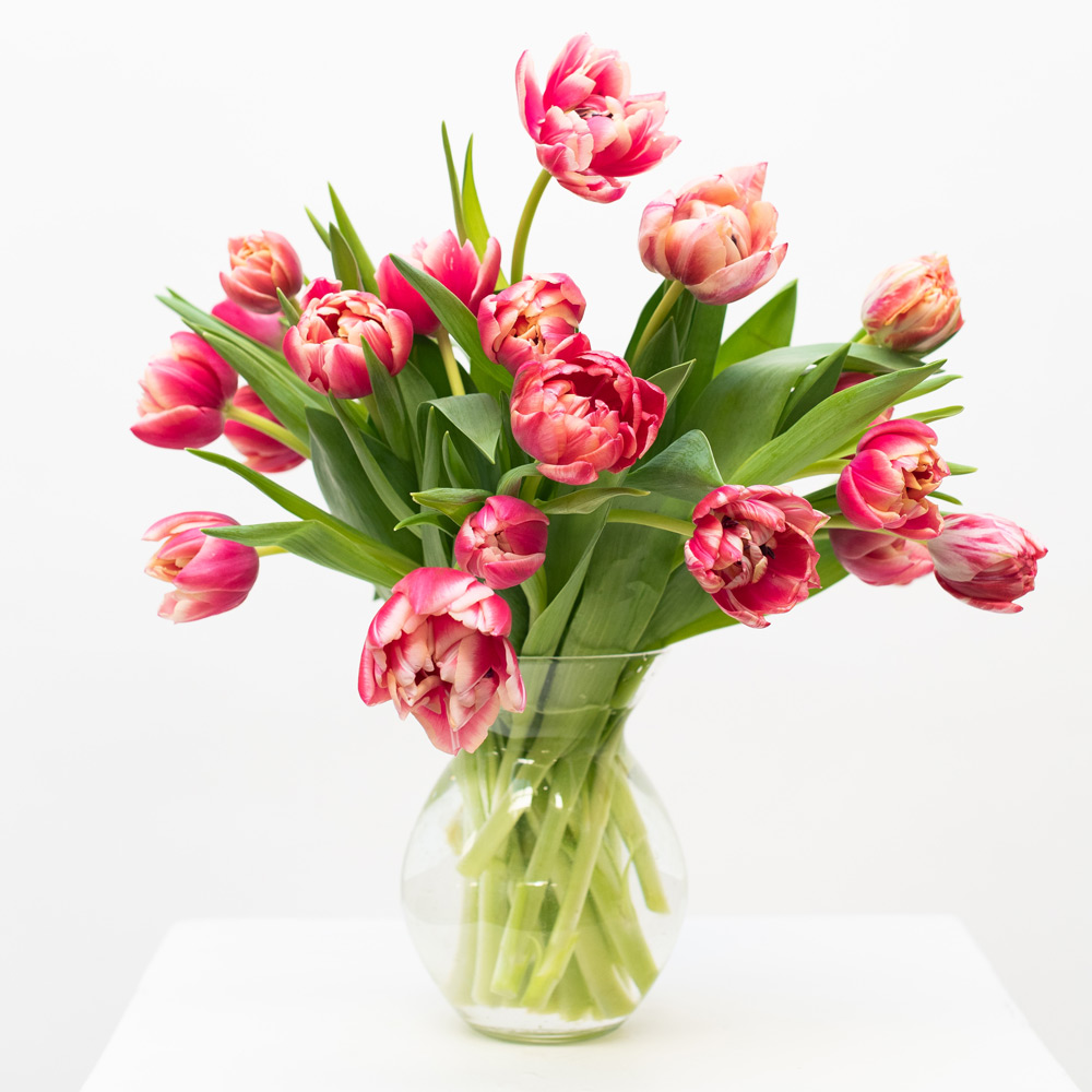 Pink Tulip Bouquet by Semia