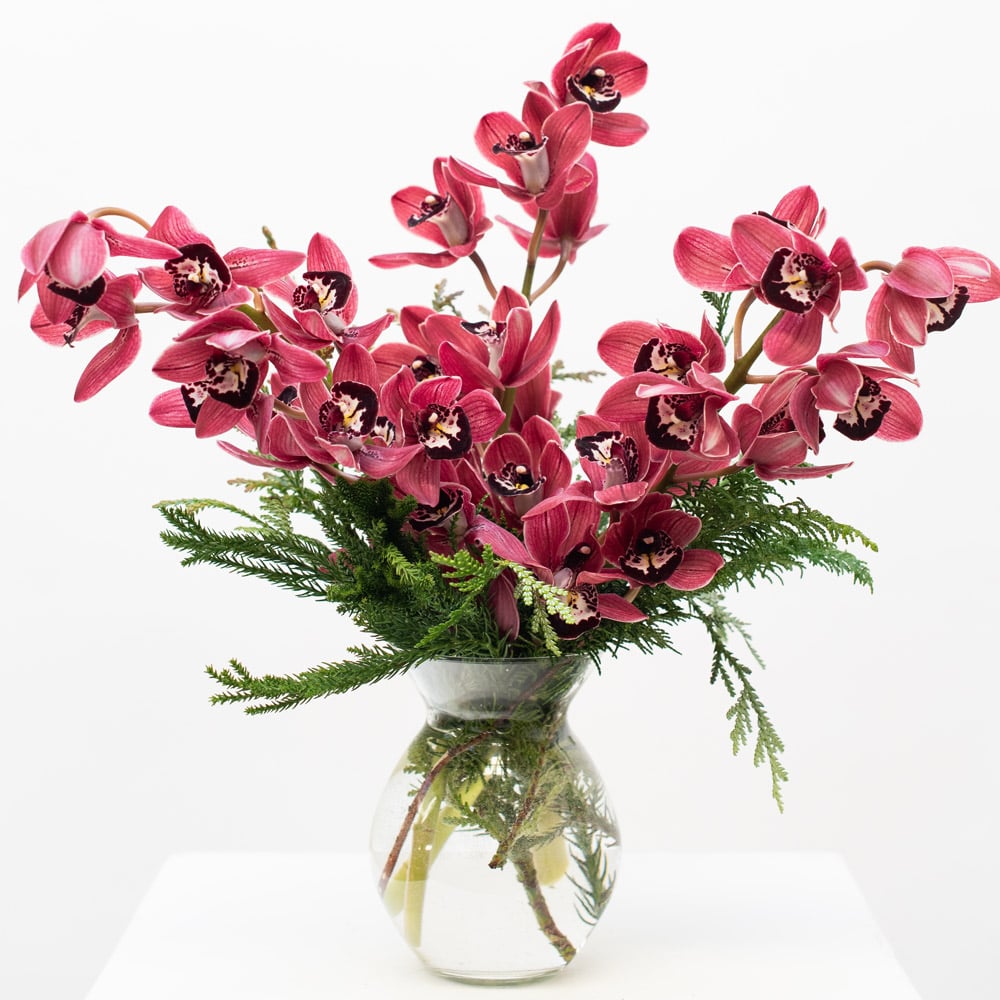 Burgundy Cymbidium & Evergreen Bouquet