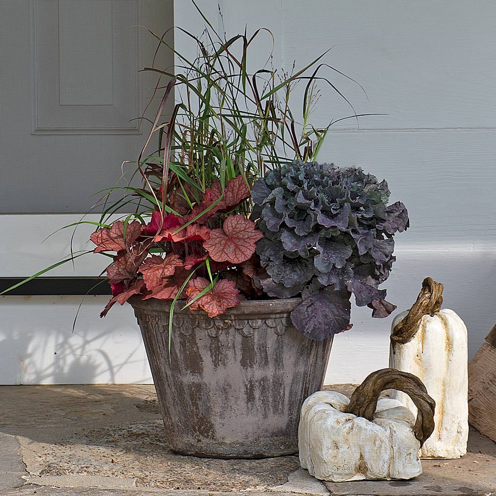 Brandied Peach Fall Container Garden