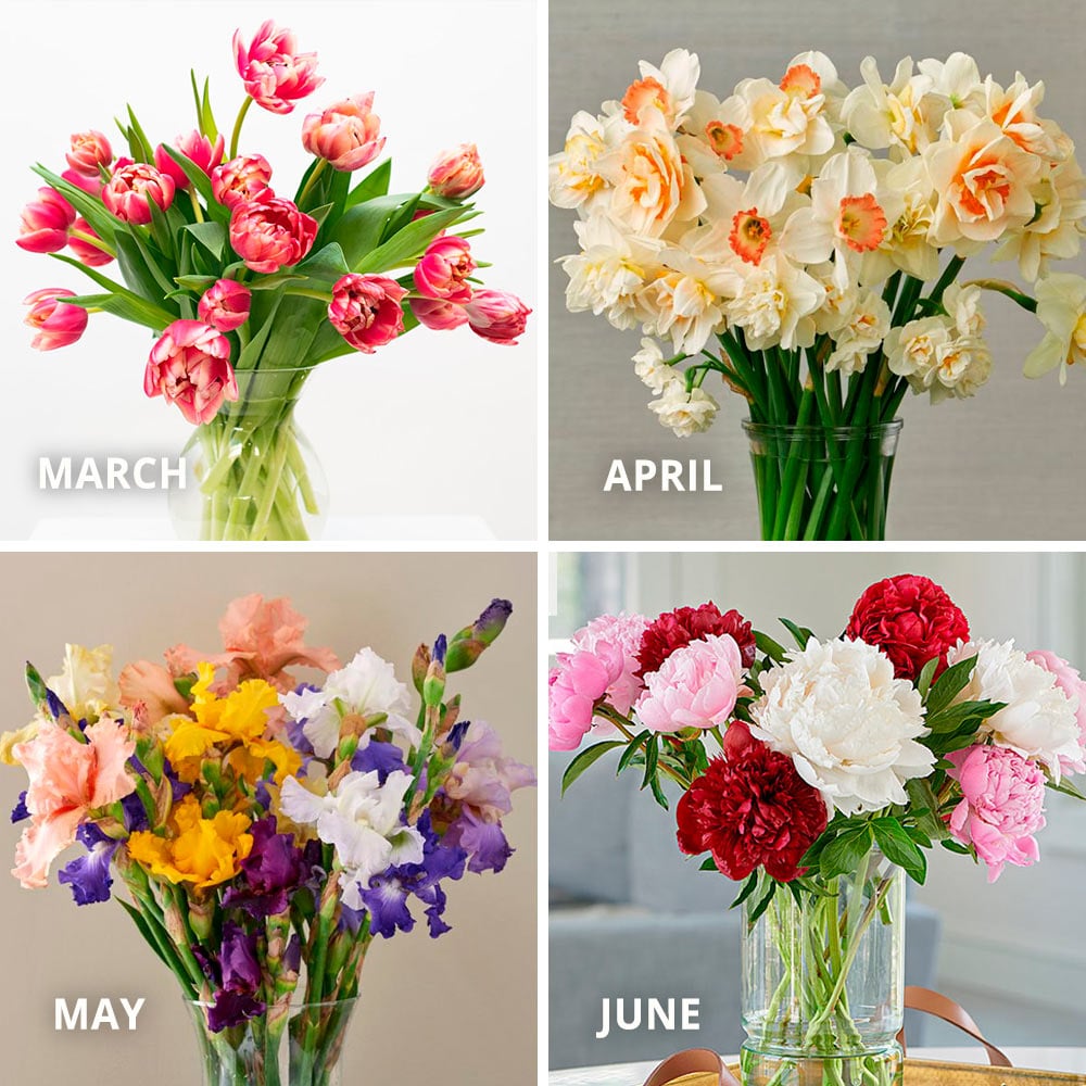Four Months of Spring Flower Bouquets, March - June