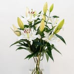  Fragrant White Lily Bouquet