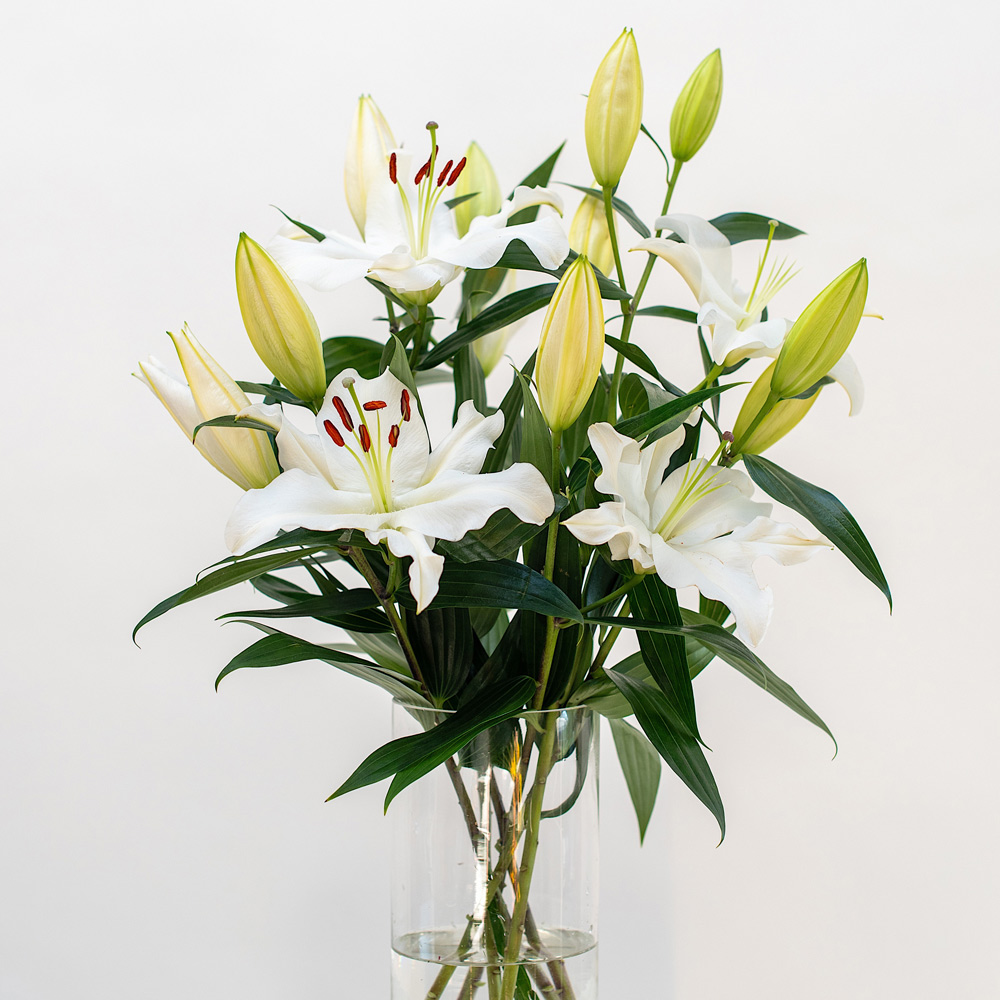 Fragrant White Lily Bouquet by Semia