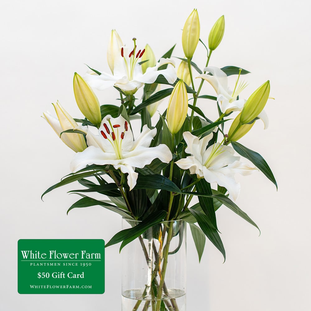 Fragrant White Lily Bouquet by Semia
