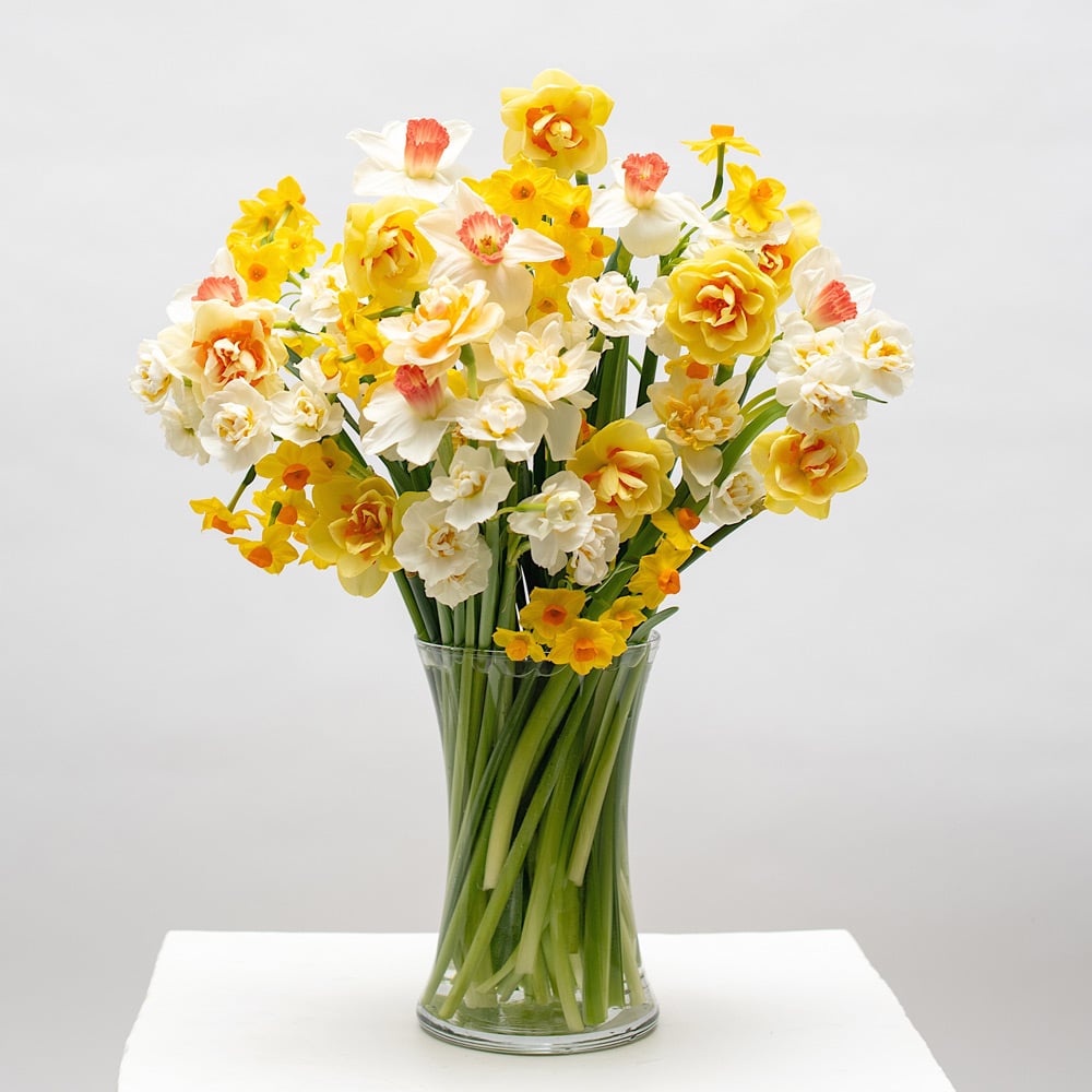 Heirloom Daffodil Bouquet by Semia