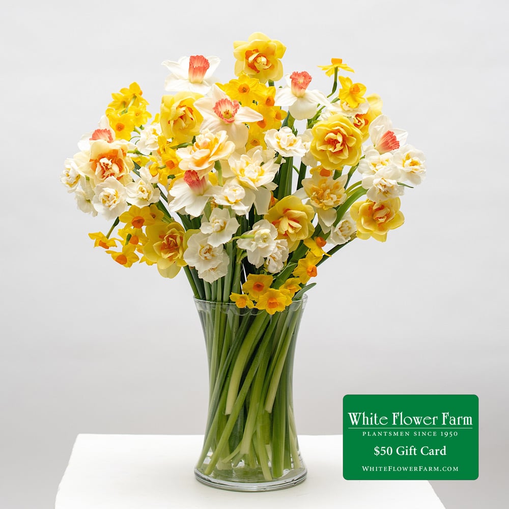 Lovely Box of Daffodils and Lilac Flowers Lovely Box of Daffodils and Lilac Flowers