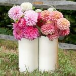  Cream Flower Caddy