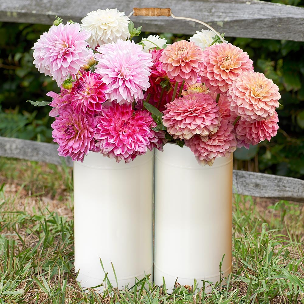 Cream Flower Caddy