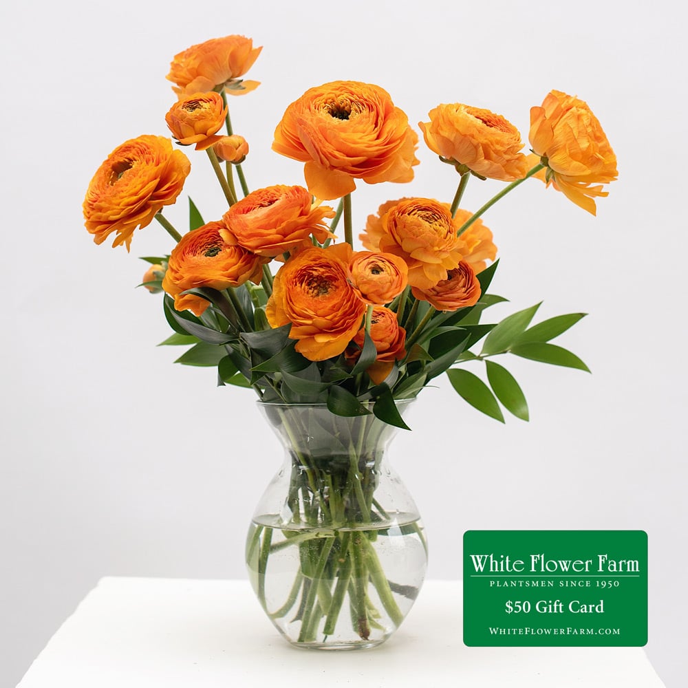Summer Punch Ranunculus Bouquet by Semia