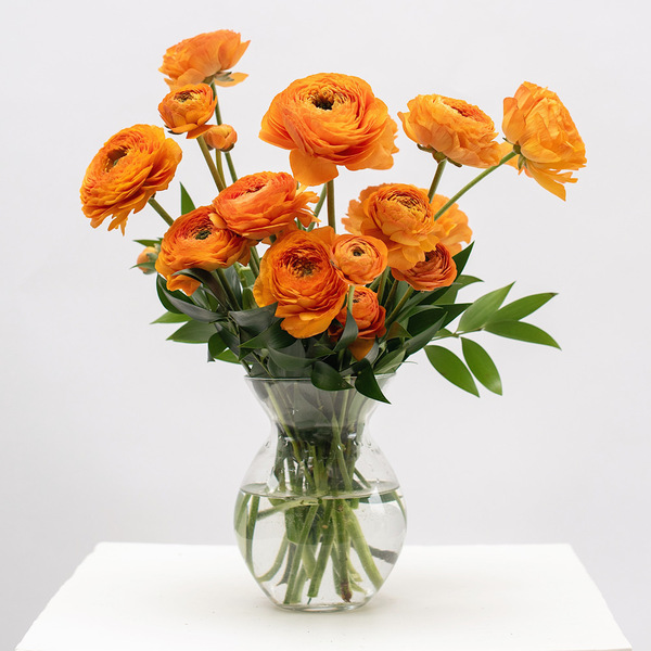 Summer Punch Ranunculus Bouquet White Flower Farm