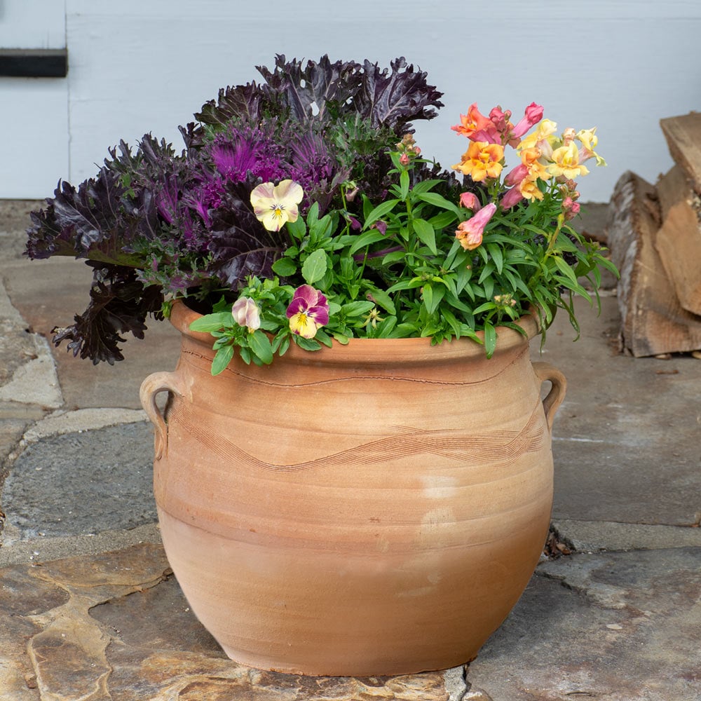 Curtain Call Fall Container Garden