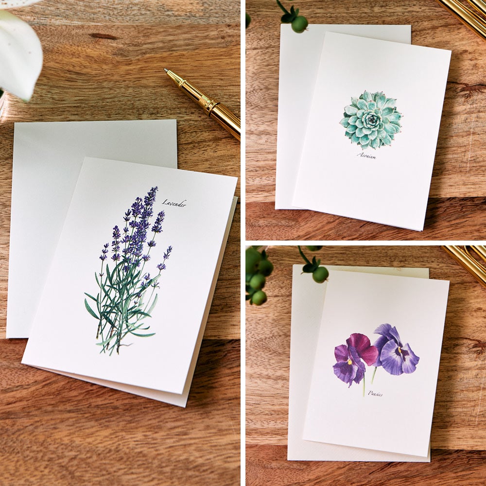 Boxed Note Card Set - Standard Shipping Included