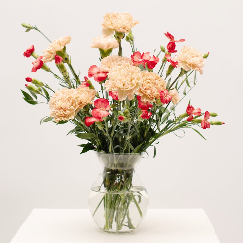 Carnation Craze Bouquet by Semia | White Flower Farm