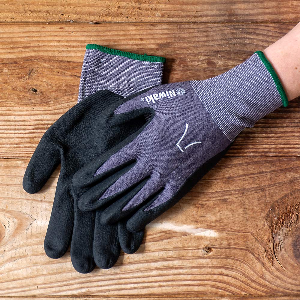 Niwaki Nitrile Gloves - Standard Shipping Included