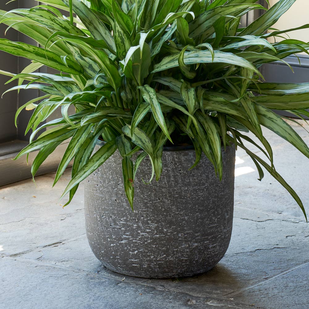 Portland Pot, dark brown