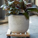  Portland Pot, grey