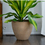  Cali Planter