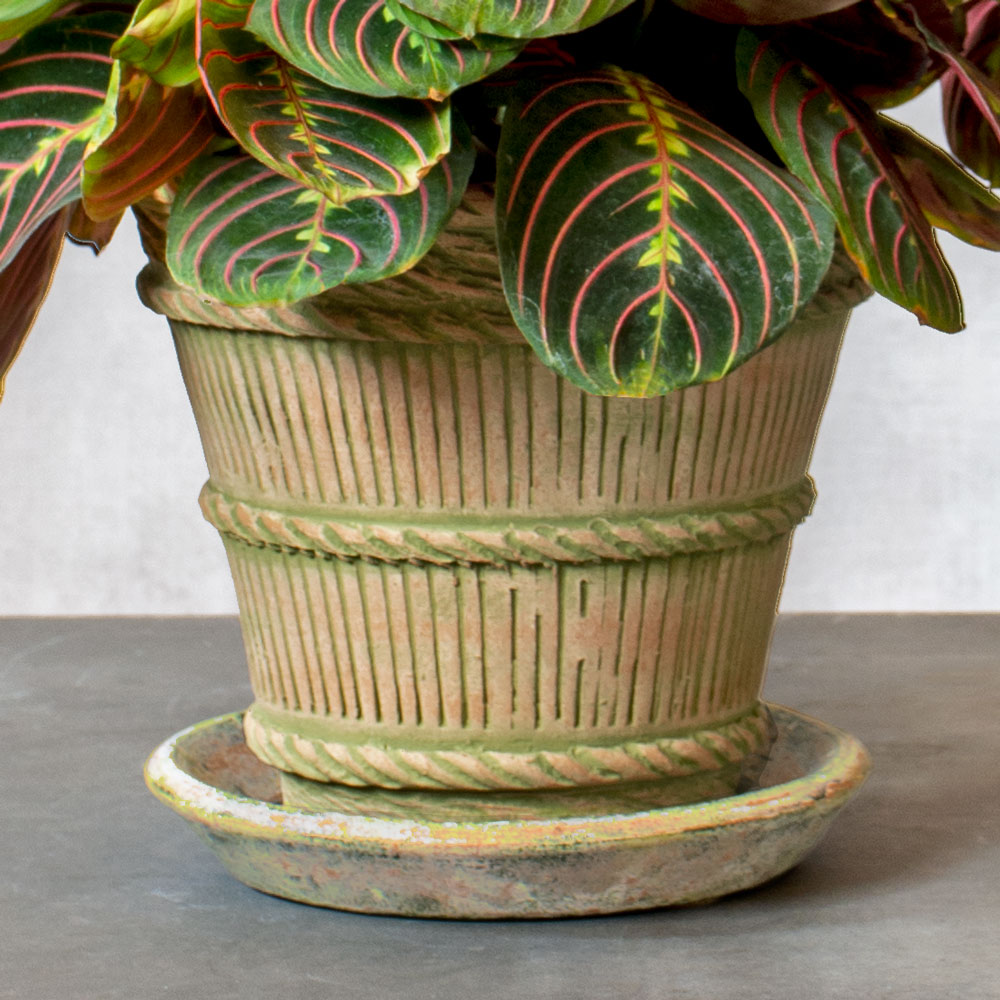 Verde French Harvest Pot and Saucer, small