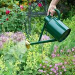  Haws Bearwood Brook Watering Can 