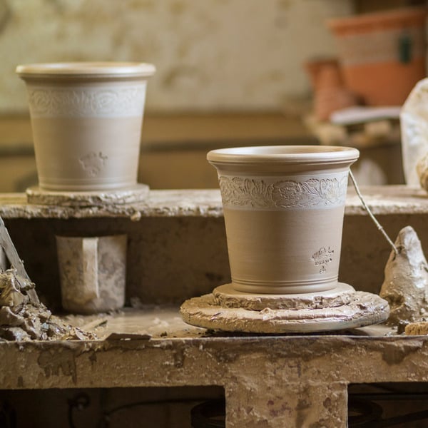 Whichford Poppy Pot White Flower Farm