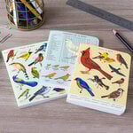  Study of Birds Mini Notebook Trio - Standard Shipping Included