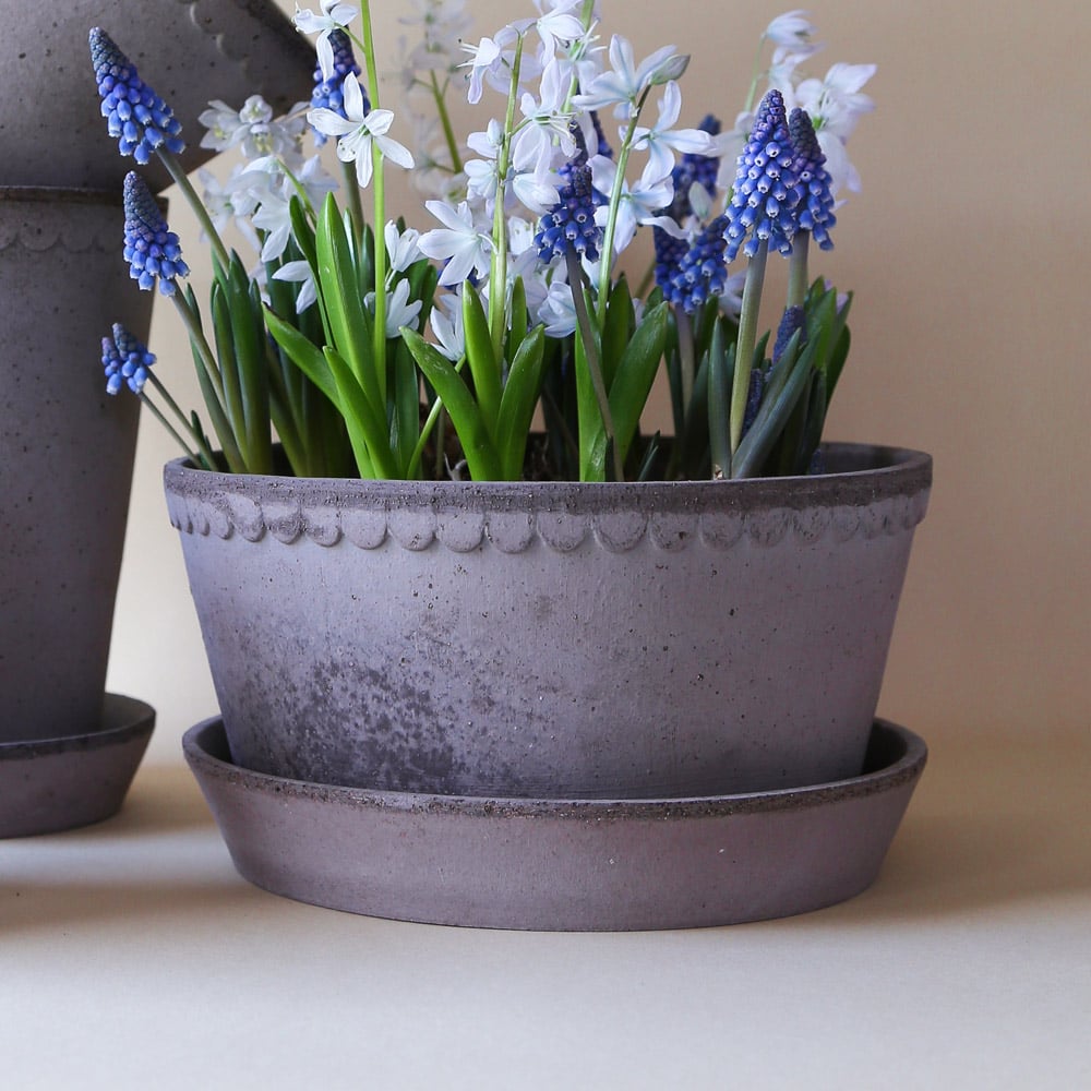 Gray Cottage Dish Planter and Saucer, 8½