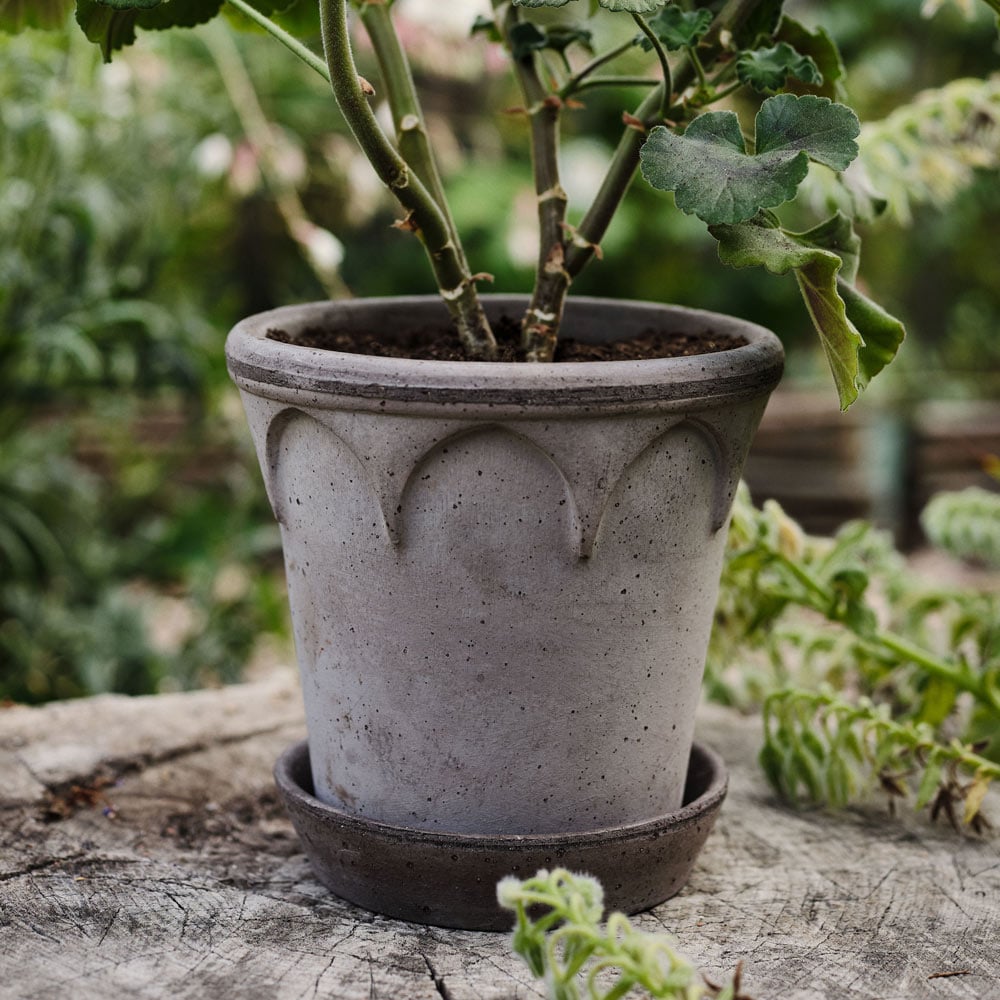 Gray Cathedral Pot and Saucer, 6½