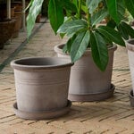  Tuscan Gray Pot and Saucer