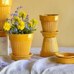  Yellow Parisian Pot and Saucer